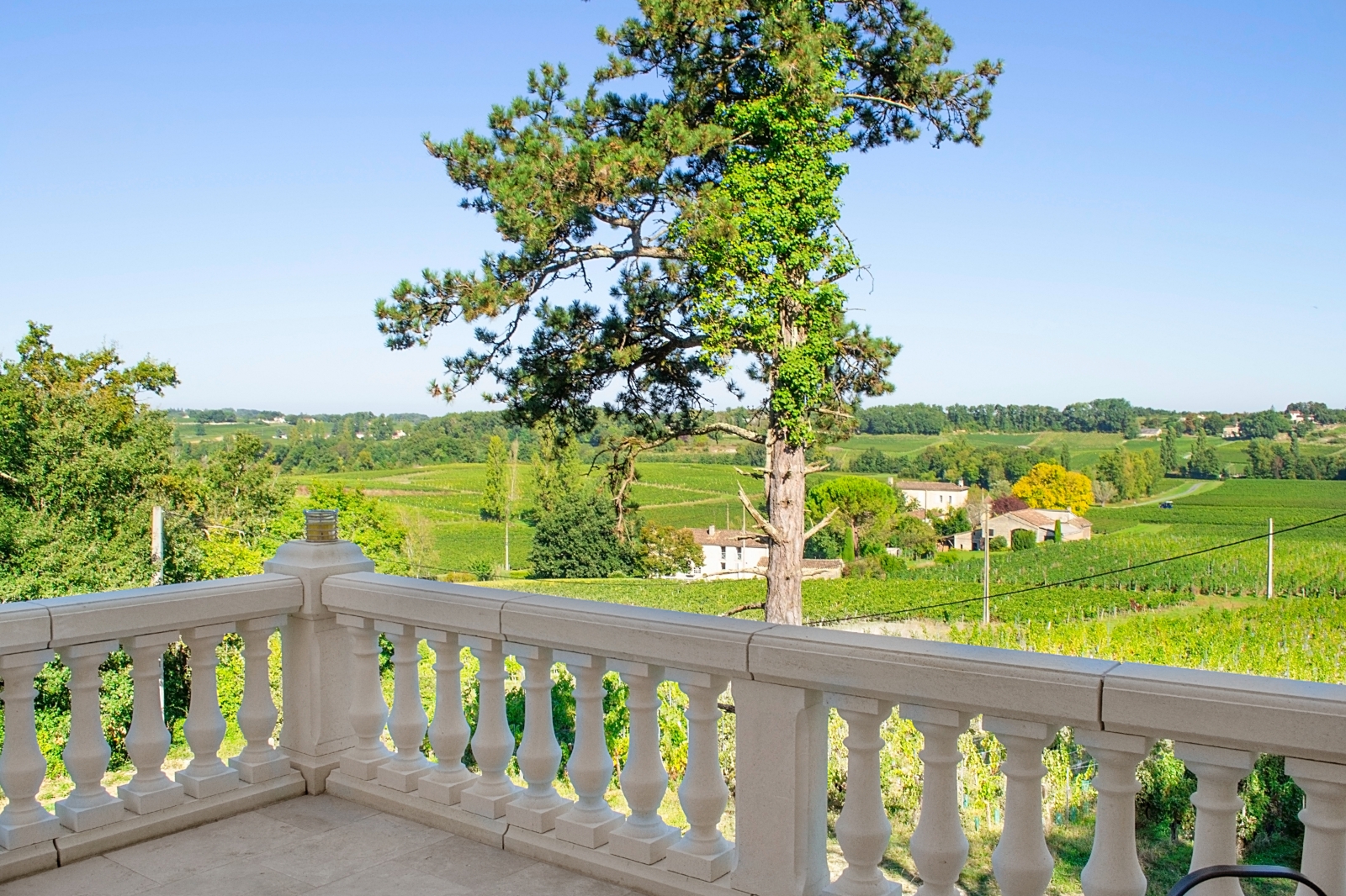 Terrasse panoramique sur les vignes